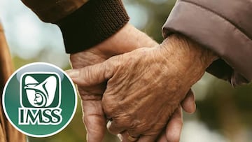 Estas son las personas que deben tramitar su certificado de supervivencia del IMSS