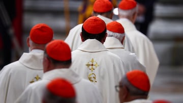 Ten of the cardinals that will vote on who will be the next pope hail from the US. Some of them are rumored to be in the running to take the top job.
