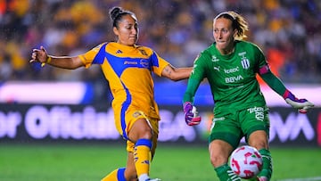 Las Amazonas a impedir lo que ellas nunca lograron