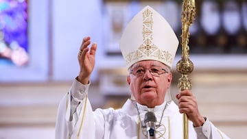 ¿Qué diferencias hay entre un cardenal elector, cardenal papable y cardenal ausente?